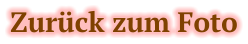 Zurück zum Foto