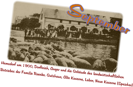Hemsdorf um 1900, Dorfteich, Anger und die Gebäude des landwirtschaftlichen Betriebes der Familie Raecke. Gutshaus, Alte Kaserne, Labor, Neue Kaserne (Speicher) September