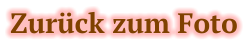 Zurück zum Foto